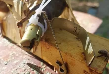 Бджоли розмінували вулик