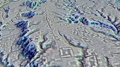 Археологічні розкопки стародавнього міста в Амазонії