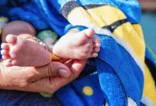 Статистика народжень і шлюбів в Україні 2023