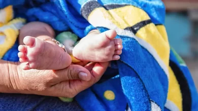 Статистика народжень і шлюбів в Україні 2023