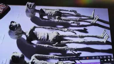 Наукове розслідування виявляє земне походження перуанських 'мумій інопланетян'"