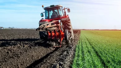 Втрата посівних площ Україною