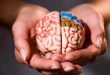 вплив куріння на мозок