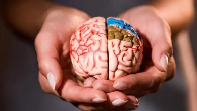 вплив куріння на мозок