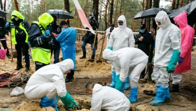 ідентифікація загиблих