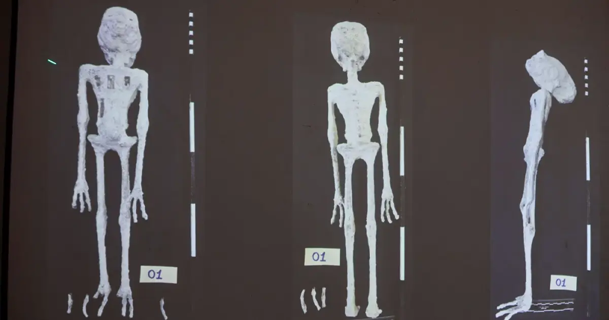 Мумії інопланетян" у Перу розкриті як земні ляльки: Нові відкриття вчених