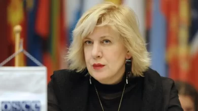 незаконне усиновлення українських дітей