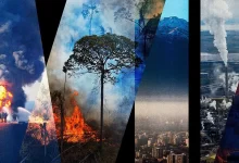 екологічні злочини Росії