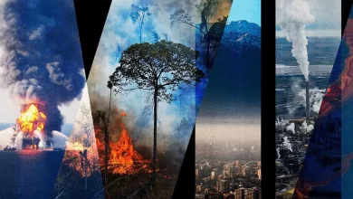 екологічні злочини Росії