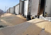 українське зерно в Польщі