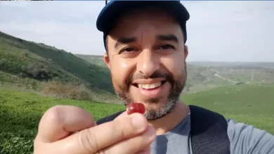 археологічна знахідка Ізраїлю