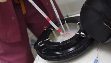 Верховний суд Алабами ембріони