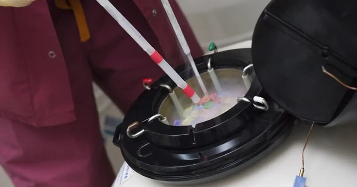 Верховний суд Алабами ембріони