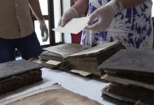 проект «Ковчег»