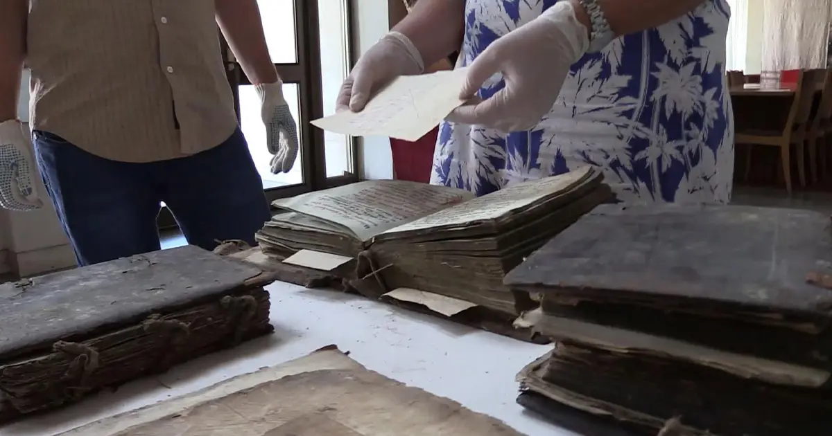 проект «Ковчег»