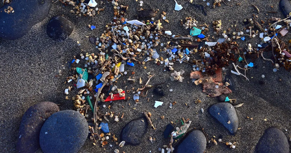 мікропластик у плацентах