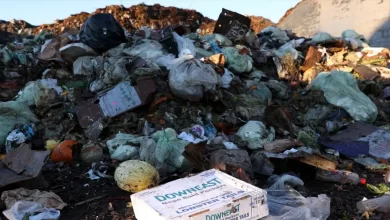 Боротьба з голодом