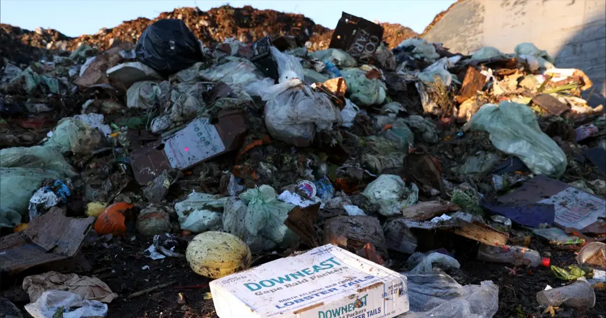 Боротьба з голодом