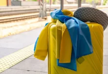 українські біженці