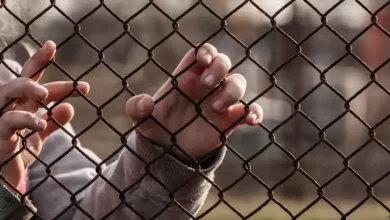 перевиховання українських дітей