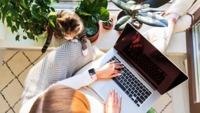 самотня праця