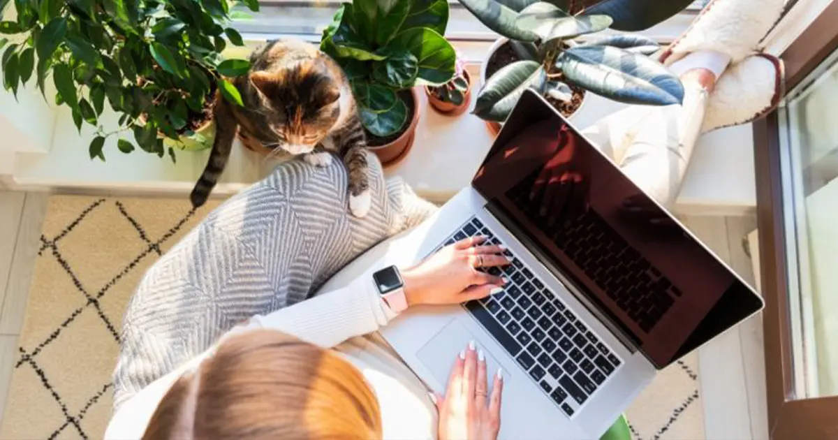 самотня праця