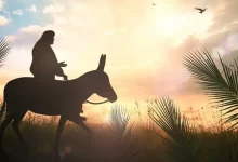 Пальмова неділя