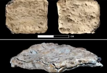 Археологічне відкриття Ягве