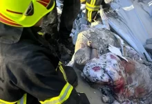 загибель мами з немовлям