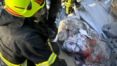 загибель мами з немовлям