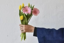 свята в Україні