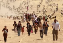 Християни в Іраку