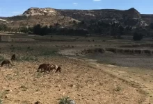 нестача чистої води