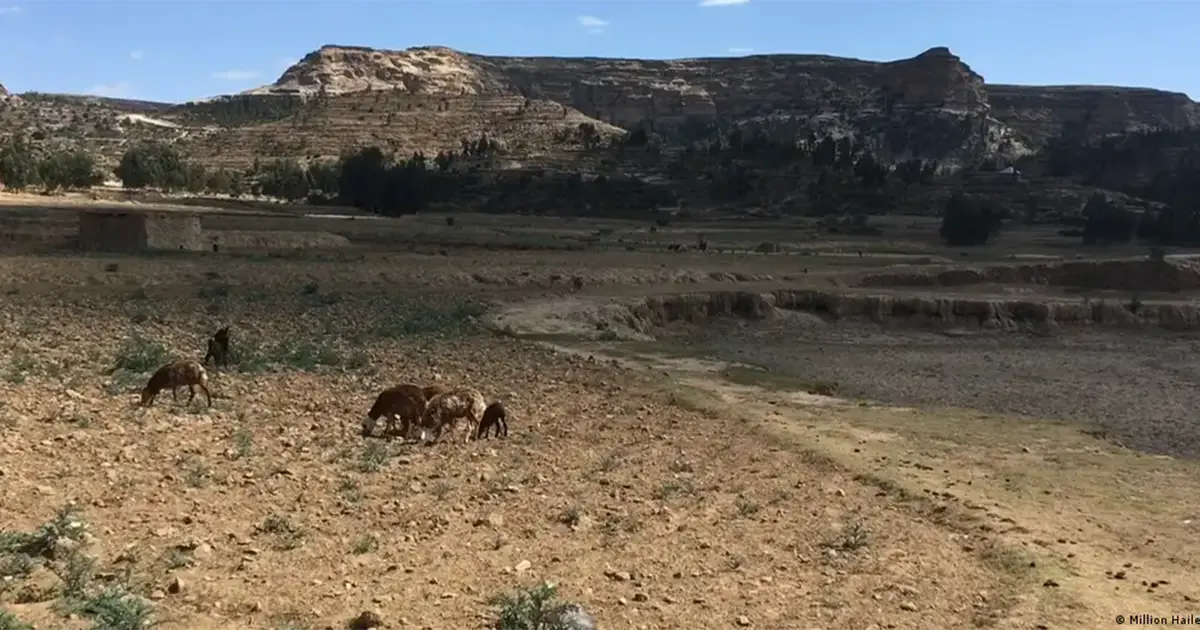нестача чистої води