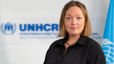 Українські біженці