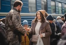 опитування 2024 рік