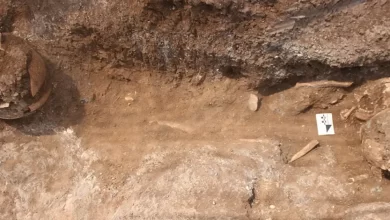 кладовище в Ізреельській долині