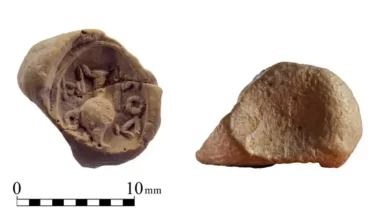 глиняний жетон Храмової гори