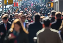 опитування українців 2024