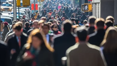 опитування українців 2024