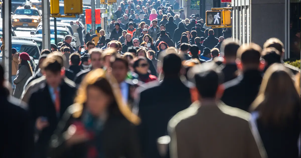 опитування українців 2024