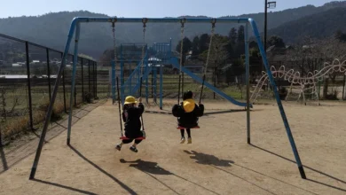 Глобальне зниження народжуваності