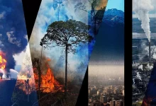 екологічні злочини в Україні