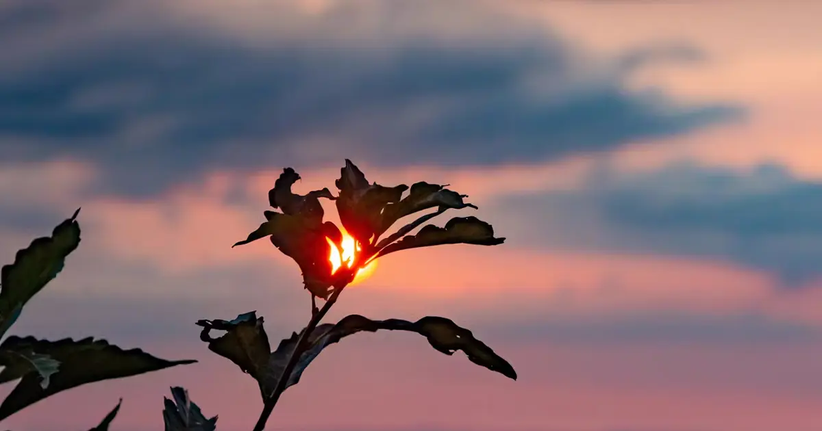 Воскресіння Ісуса Христа