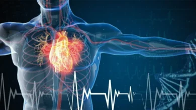 Серцево-судинні захворювання