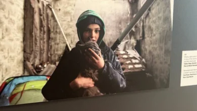 повернення дітей з росії