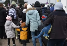 Всесвітня доповідь про міграцію 2024