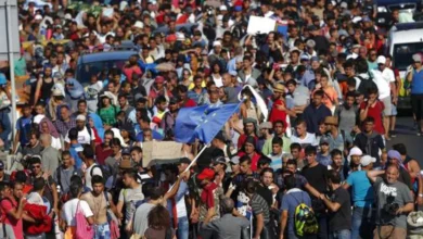 демографічна криза ЄС