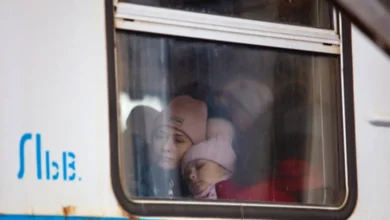 тимчасовий захист українців