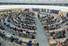 Зображення засідання Всесвітньої асамблеї охорони здоров'я ВООЗ, де представники різних країн обговорюють резолюцію про підтримку ментального здоров'я.